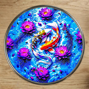 Magnet Poisson