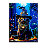 Poster Chat Sorcier