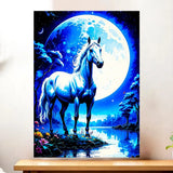 Affiche Cheval Blanc illustrée à la main en Anjou