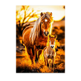 Poster Cheval Famille illustré à la main en Anjou
