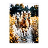 Poster Chevaux Sauvages illustré à la main en Anjou
