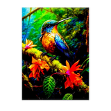 Poster Colibris