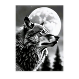 Poster Loup Monochrome illustré à la main en Anjou