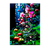 Poster Pomme