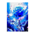 Poster Rose Bleue