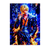 Poster Sanji